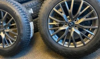 
										Brand NEW 2022 Lexus rims Continental Studded Tires full									