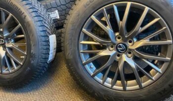
										Brand NEW 2022 Lexus rims Continental Studded Tires full									