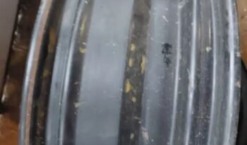 
										Four 5 bolt 15 in rims full									